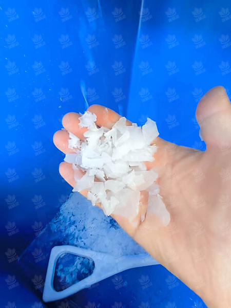 鳞片冰