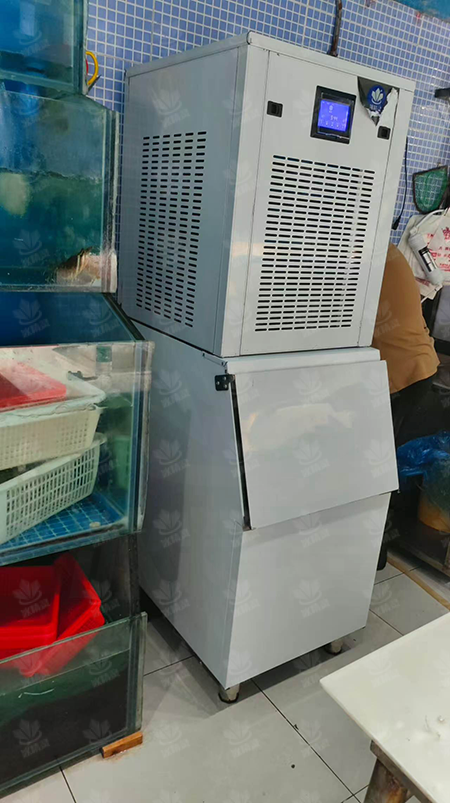 200公斤雪花机